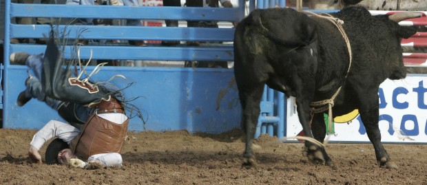 Rodeo